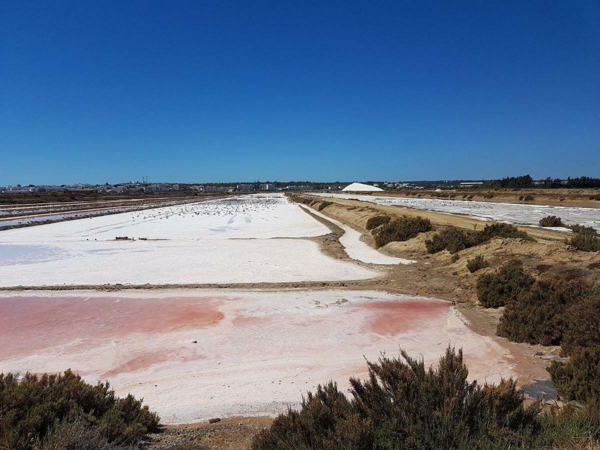 Arroteia de Baixo Casas Algarviasヴィラ エクステリア 写真